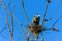 SONP-20122140