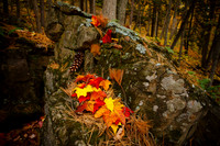 Autumn: Artistic