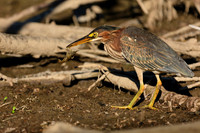 SONP-20123327-2
