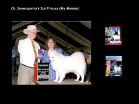 Princess Pups -           June 11, 2005