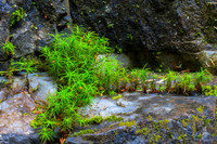 Terrill Gorge Falls - Morrisville VT