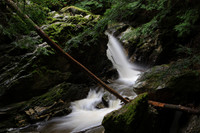 SONP-20136406