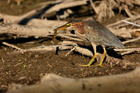 SONP-20123326