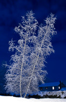 SONP-07031902