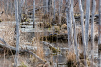 SONP-07041201