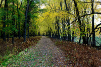SONP-20123601