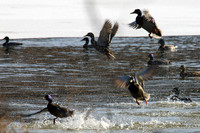SONP-20124062-2