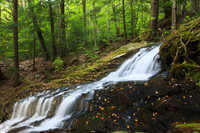 Abby Pond Cascades - Middlebury VT
