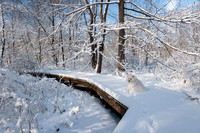 SONP-20122152