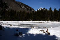 SONP-06040902