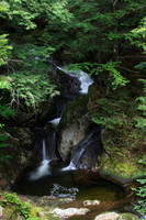 SONP-20136475