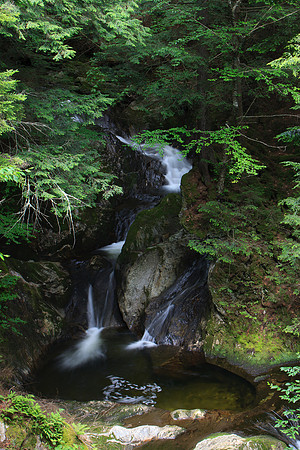 SONP-20136475