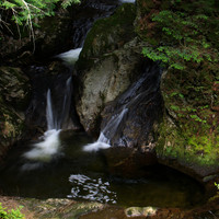 SONP-20136481