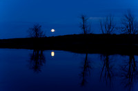 Landscapes