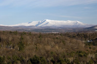 SONP-07010903