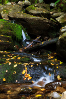 Abbey Pond Cascades - Middlebury VT