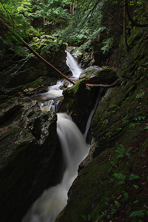 SONP-20136239