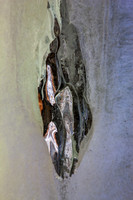 Laraway Mountain - Ice