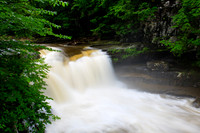 Bartlett Falls - Bristol VT