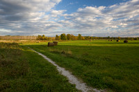Trails