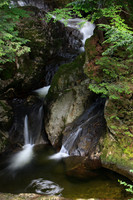 SONP-20136465