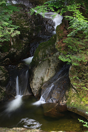 SONP-20136465
