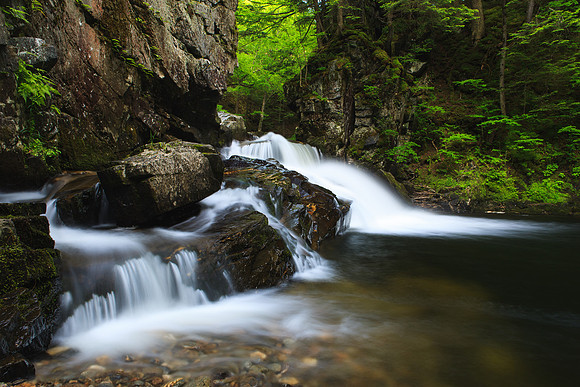 Terrill Gorge Falls - Morrisville VT
